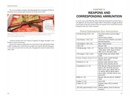 Italian Partisan Weapons in WWII by Schiffer Publishing