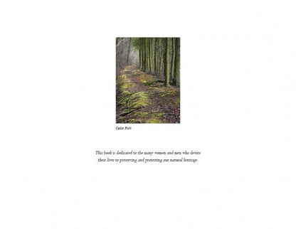 Pinelands by Schiffer Publishing
