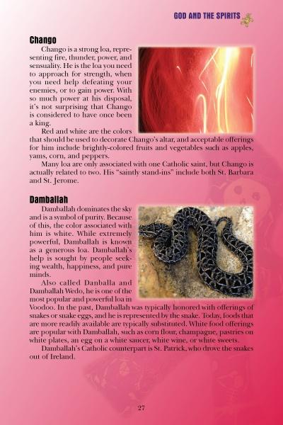 Everyday Voodoo by Schiffer Publishing