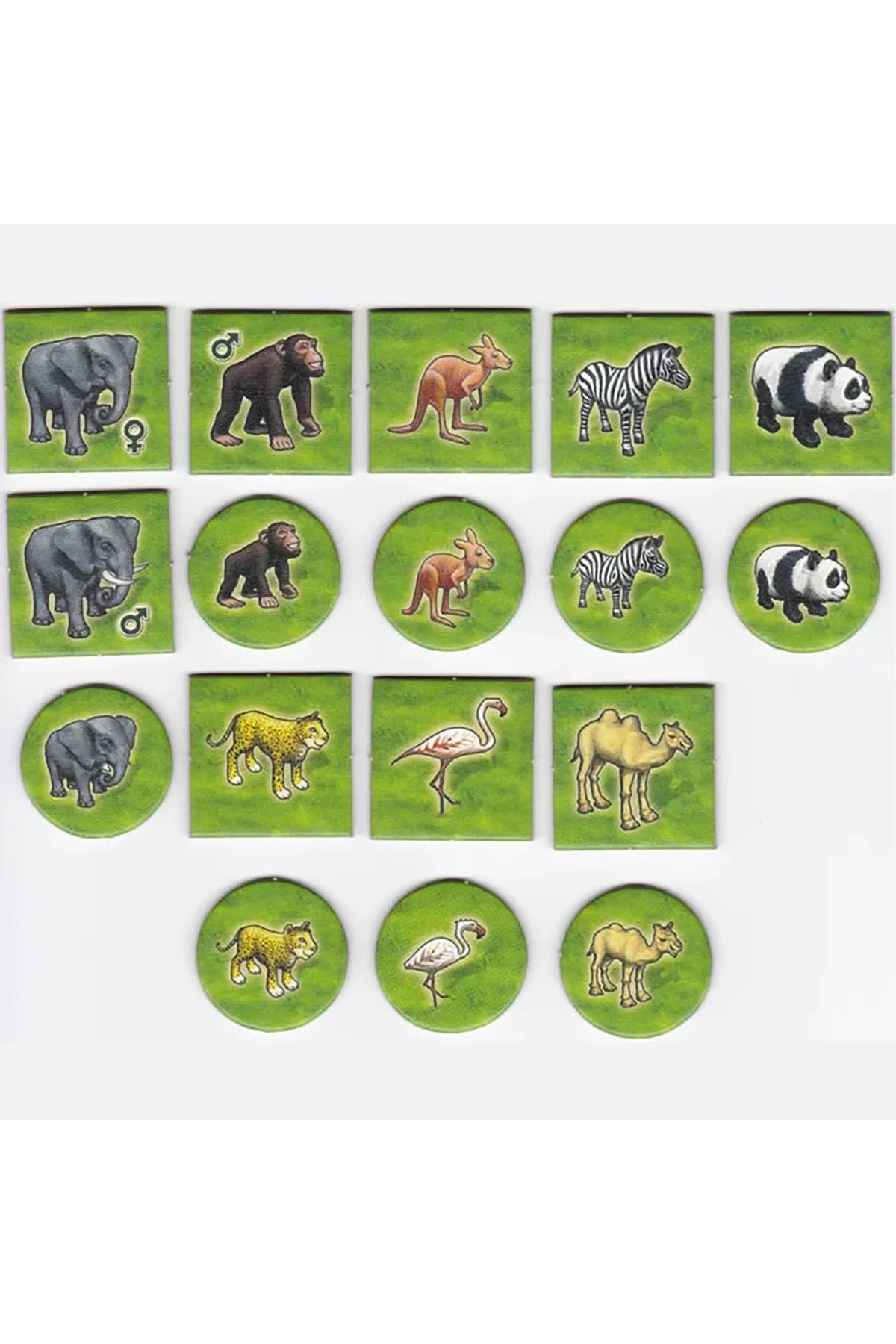 Zooloretto