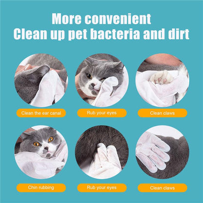 Pet Care Essentials: 6-Pack Of Disposable Non-Woven Gloves For A Clean And Happy Home by Dog Hugs Cat