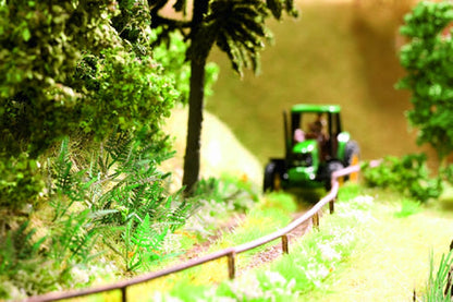 Noch 14100 All Scale Ferns -- pkg(9)