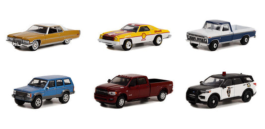 Greenlight 28100-CASE 1/64 Scale Anniversary Collection Series 14