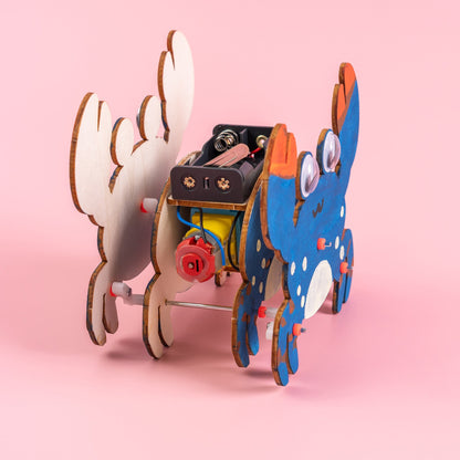 Sound-Activated Walking Crab STEM Kit – Build, Paint & Watch It Walk