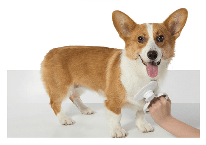 Furcare Pro: The Ultimate Self-Cleaning Wire Brush For A Flawless Grooming Experience! by Dog Hugs Cat