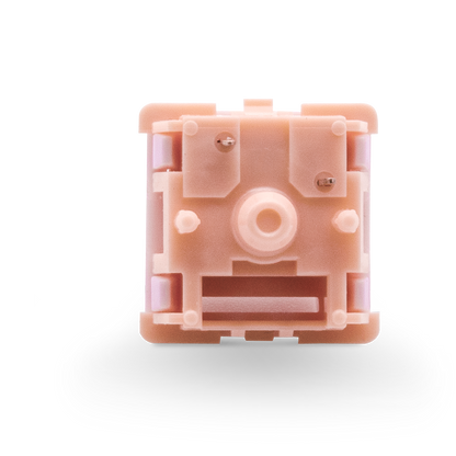 Salmon Tactile Switch