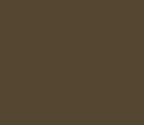 AK Interactive 11408 Figures Series: Dot44 Brown Base 3G Acrylic Paint 17ml Bott