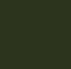 AK Interactive 11350 AFV Series: Modern Spanish Green 3G Acrylic Paint 17ml Bott