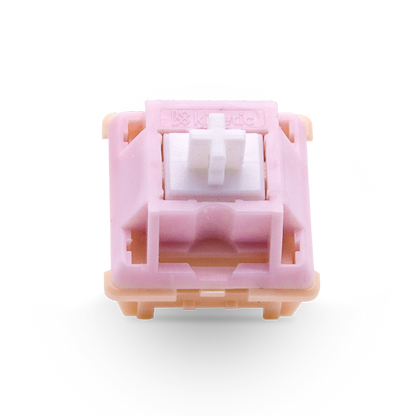 Salmon Tactile Switch
