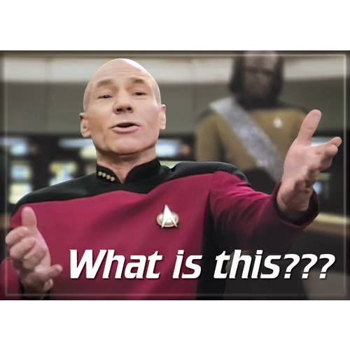 Star Trek: Picard What Is This?