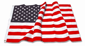 4ft X 6ft Sewn Polyester Us Flag  Flag Connections Brand.