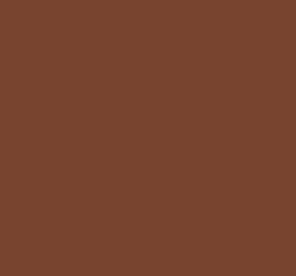 AK Interactive 11434 Figures Series: Red Brown 3G Acrylic Paint 17ml Bottle