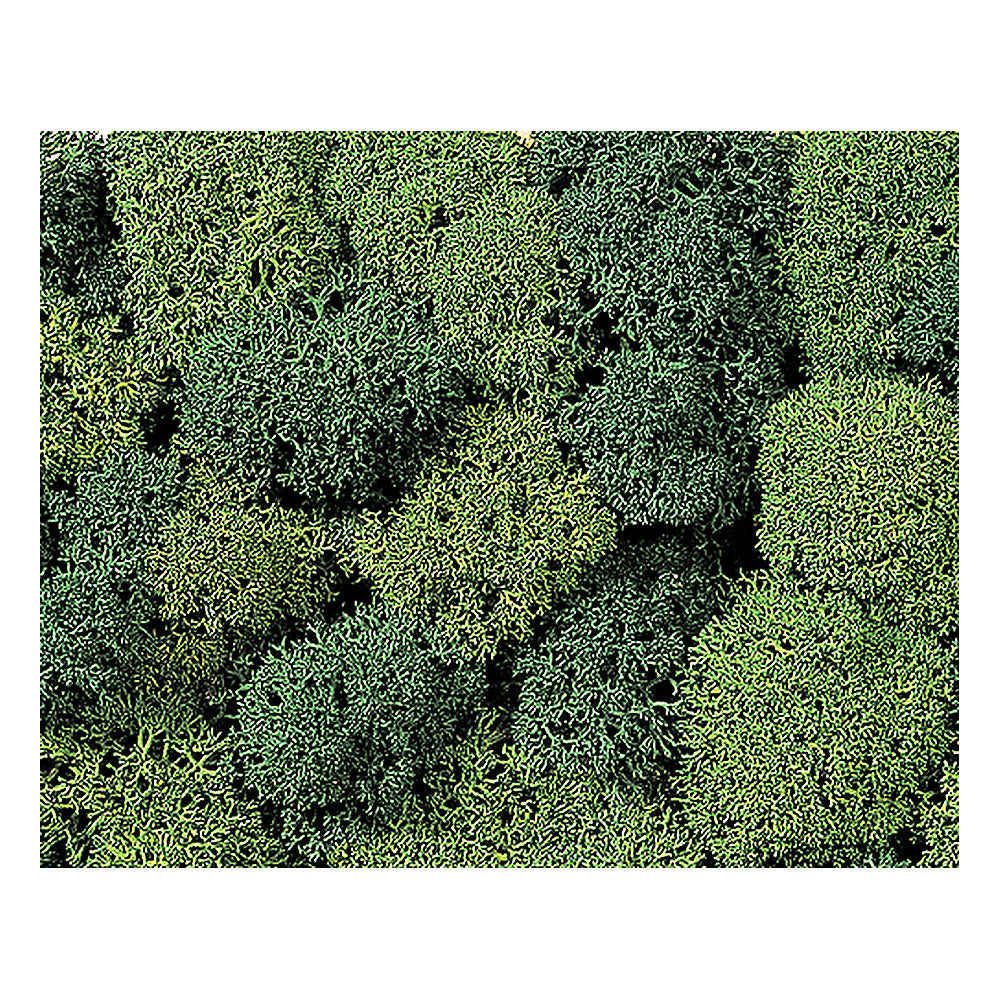 Noch 8621 All Scale Lichen Double-Pack - 2-3/4oz 78g -- Light & Dark Green