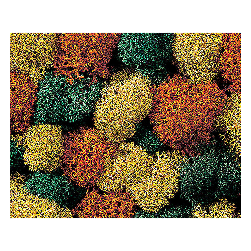 Noch 8630 All Scale Lichen Single Pack -- Autumn Assorted