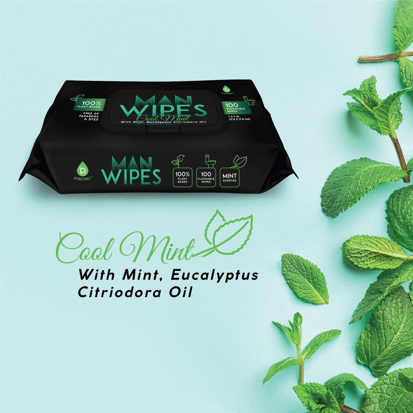 12 Pack of Flushable Man Wipes (1200 Mint Scented Wipes) by Pursonic