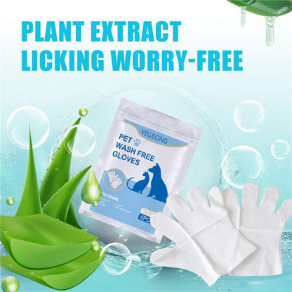 Pet Care Essentials: 6-Pack Of Disposable Non-Woven Gloves For A Clean And Happy Home by Dog Hugs Cat