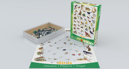Puzzle: Animal Charts - Birds