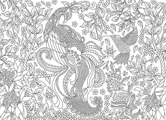 Puzzle: Color-Me Collection - Tropical Birds