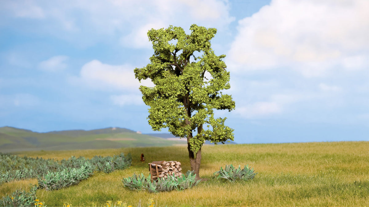 Noch 21660 All Scale Multi-Trunk Acacia Tree, 15 cm