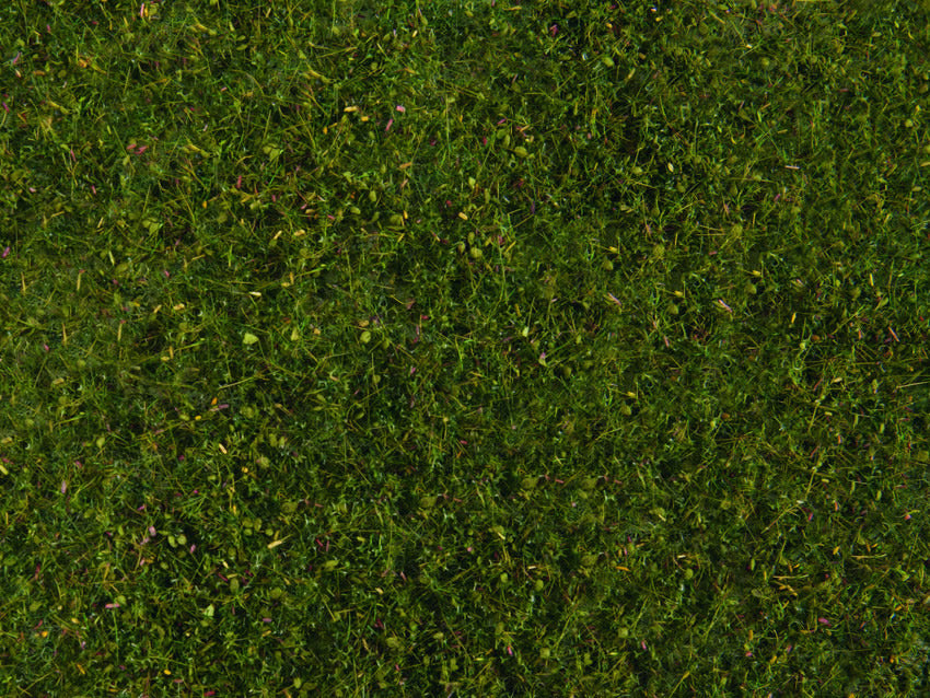 Noch 7291 All Scale Meadow Foliage Sheet, Medium Green