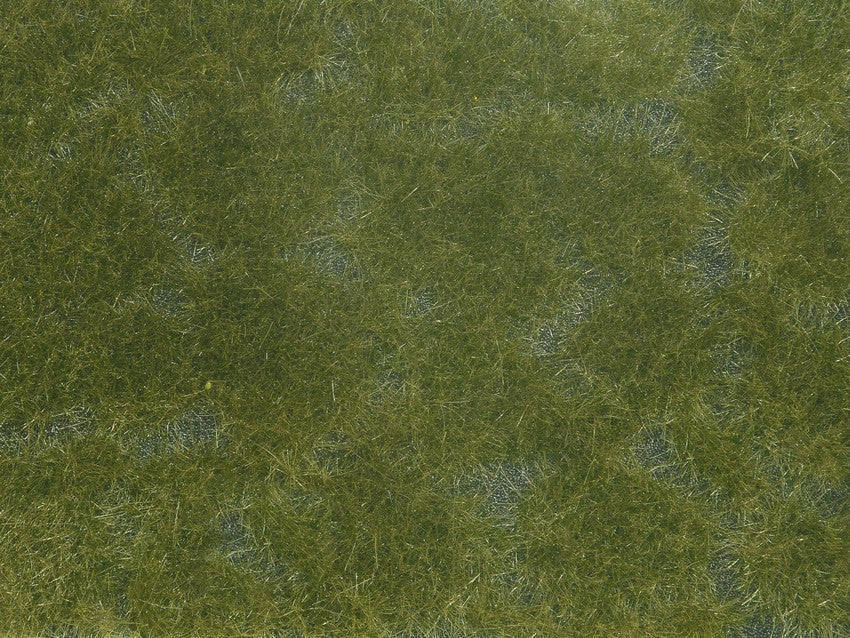Noch 7252 All Scale Ground Cover Foliage Pad, Dark Green