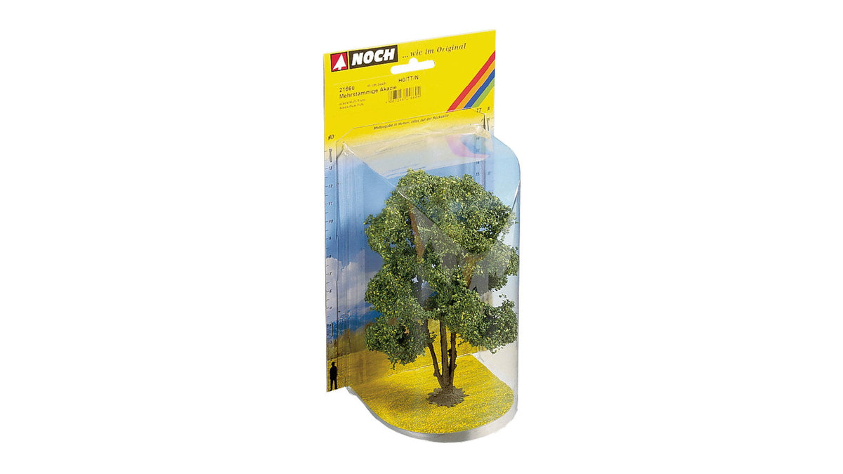 Noch 21660 All Scale Multi-Trunk Acacia Tree, 15 cm