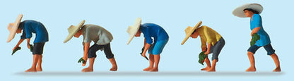 Preiser 10572 HO Scale Working People At The Rice Field #1