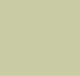AK Interactive 11345 AFV Series: APC Interior Light Green FS24533 3G Acrylic Pai