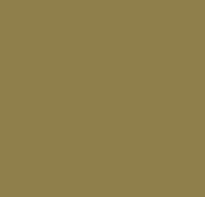 AK Interactive 11354 AFV Series: IDF Early Sand Yellow 3G Acrylic Paint 17ml Bot