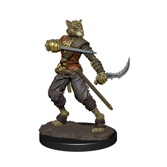 D&D: Icons of the Realms - Tabaxi Rogue Male