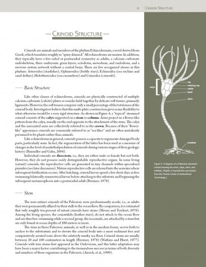 Collector's Guide to Crawfordsville Crinoids by Schiffer Publishing