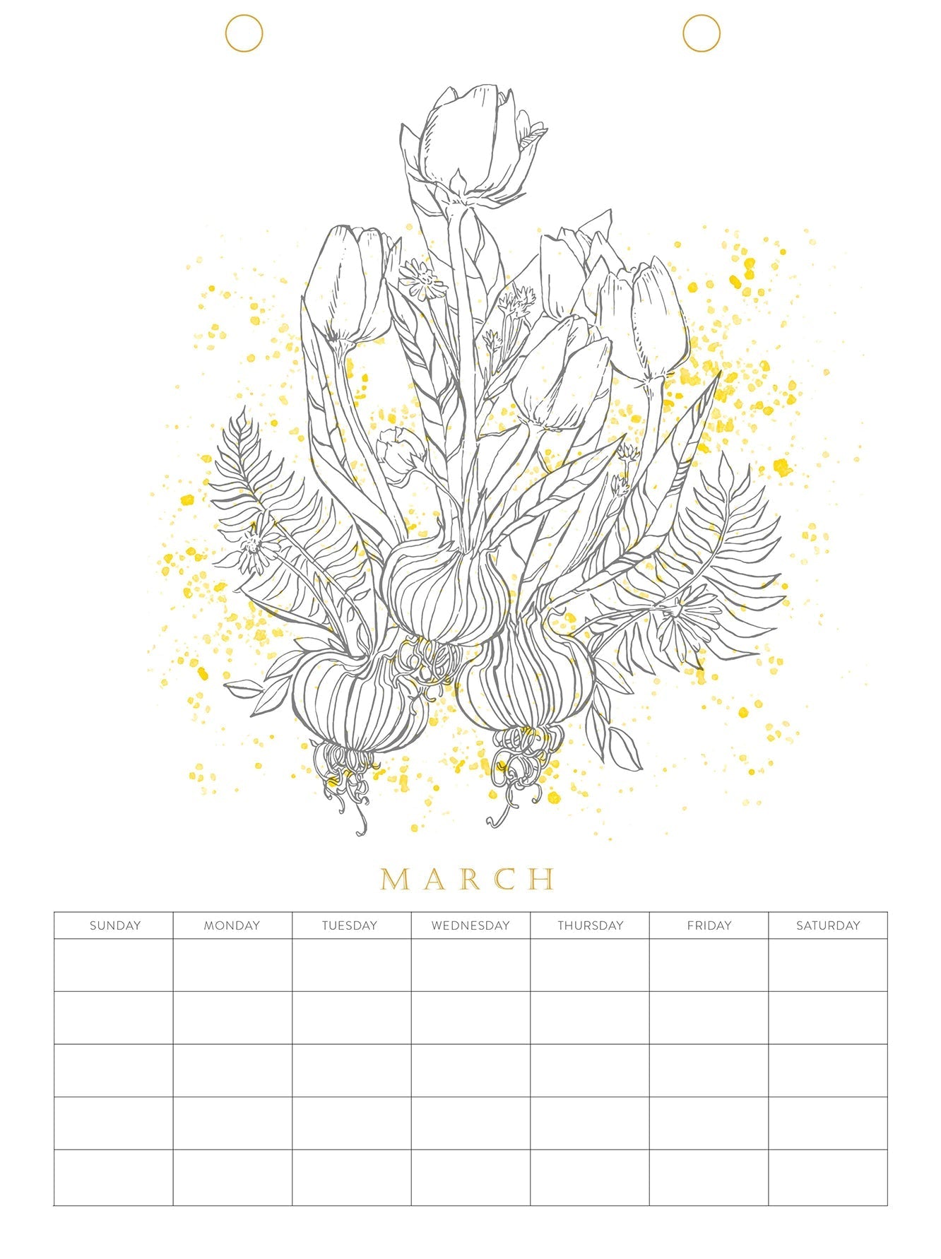 Paint-Your-Own Wall Calendar by Schiffer Publishing