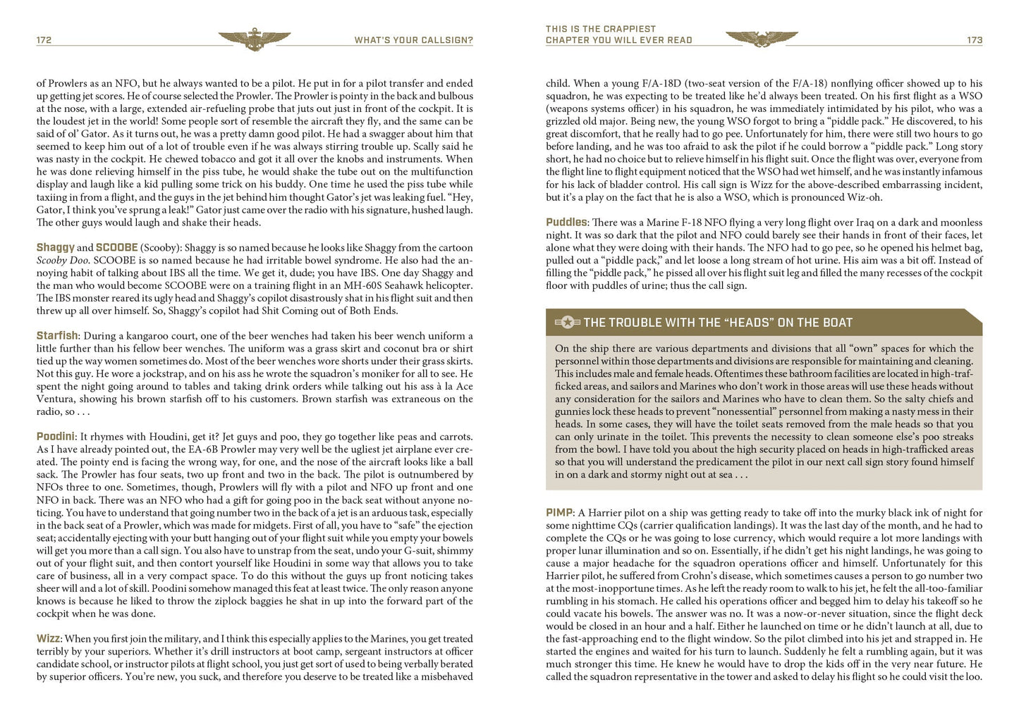 What's Your Call Sign? by Schiffer Publishing