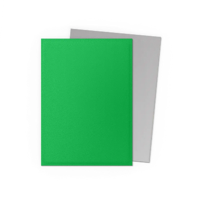 Dragon Shield: Apple Green & Silver - Matte Dual Sleeves