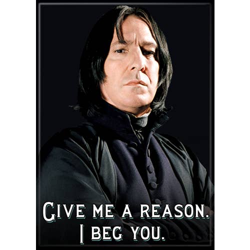 Harry Potter: Snape I Beg You Magnet