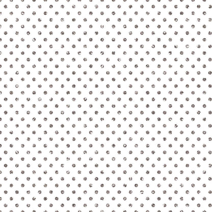 Holographic Silver Dots Gift Wrap by Present Paper