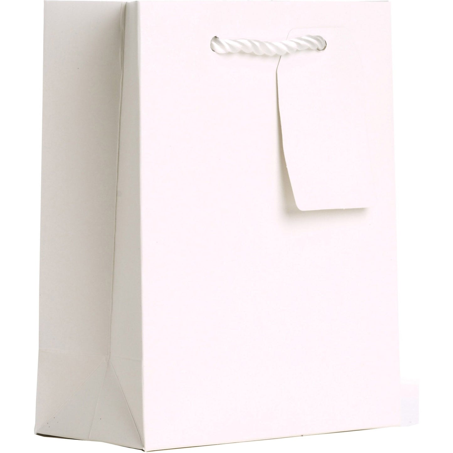 Heavyweight Solid Color Small Gift Bags, Matte White by Present Paper