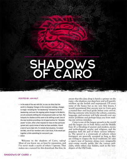 Shadowrun RPG: Risks & Rewards (6E)