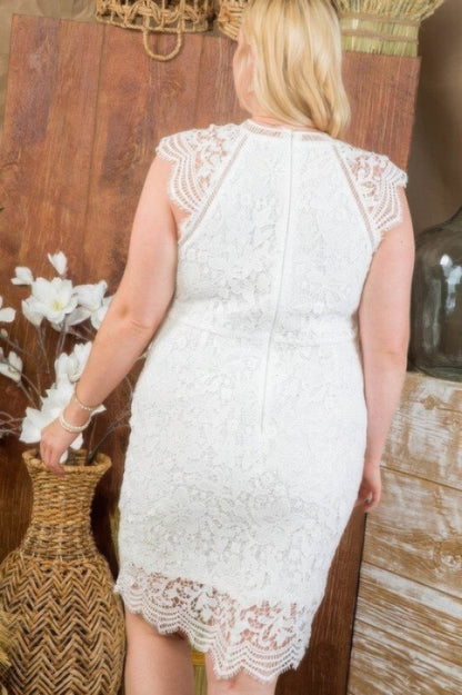 Lace Crochet Mini Raglan Dress With Zipper Back by Balec Group