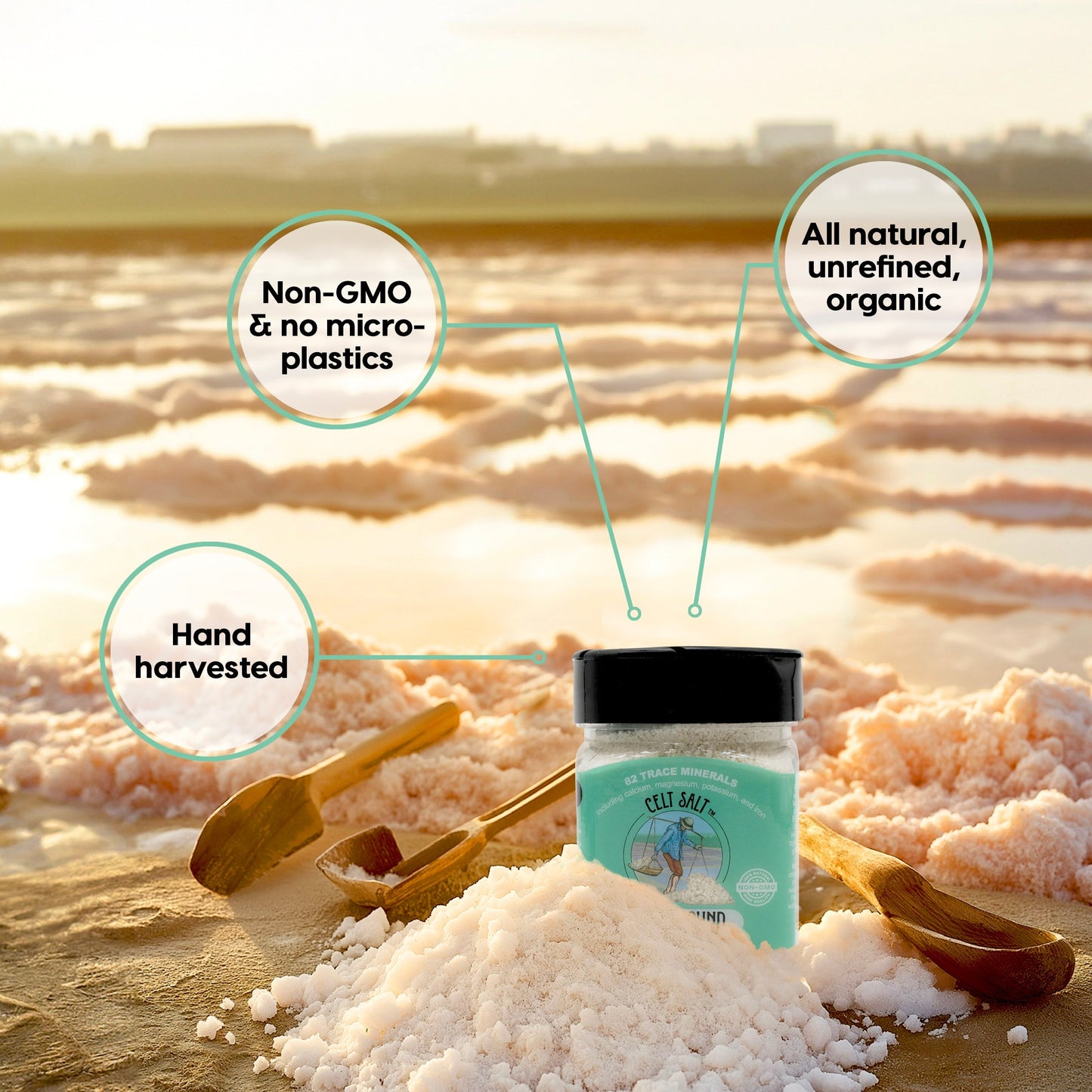 Celtic Sea Salt- 8 oz Shaker of Coarse Light Grey, organic, 82 minerals, Celt Salt By Nature's Pantry by Celt Salt