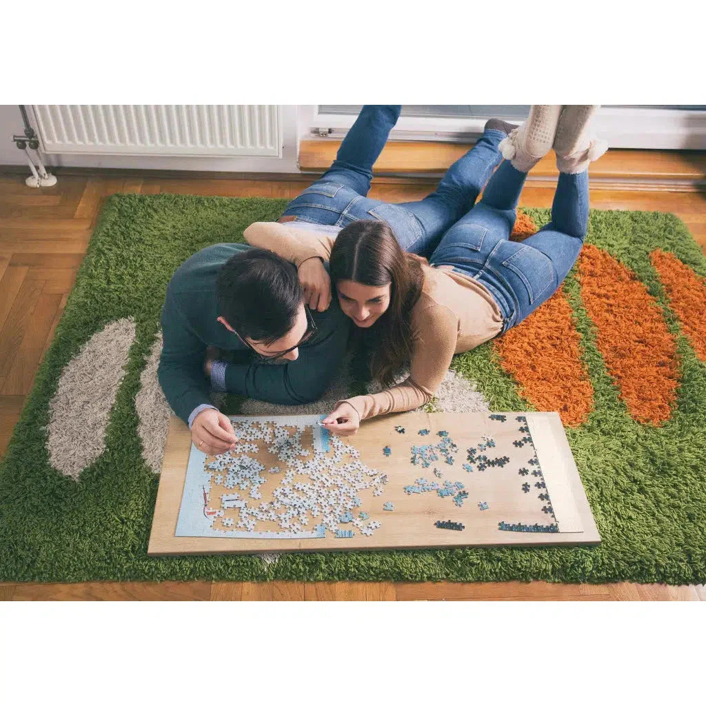 Chicago Metropuzzle 1000 Piece Jigsaw Puzzle Geotoys
