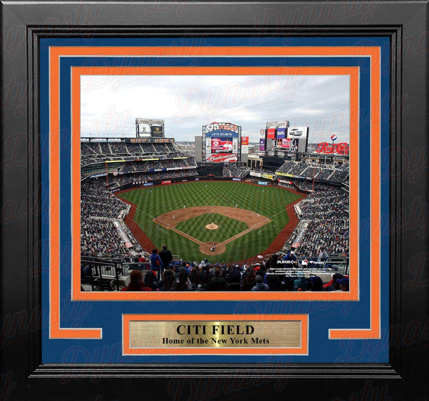 New York Mets Citi Field 8" x 10" Framed Baseball Stadium Photo