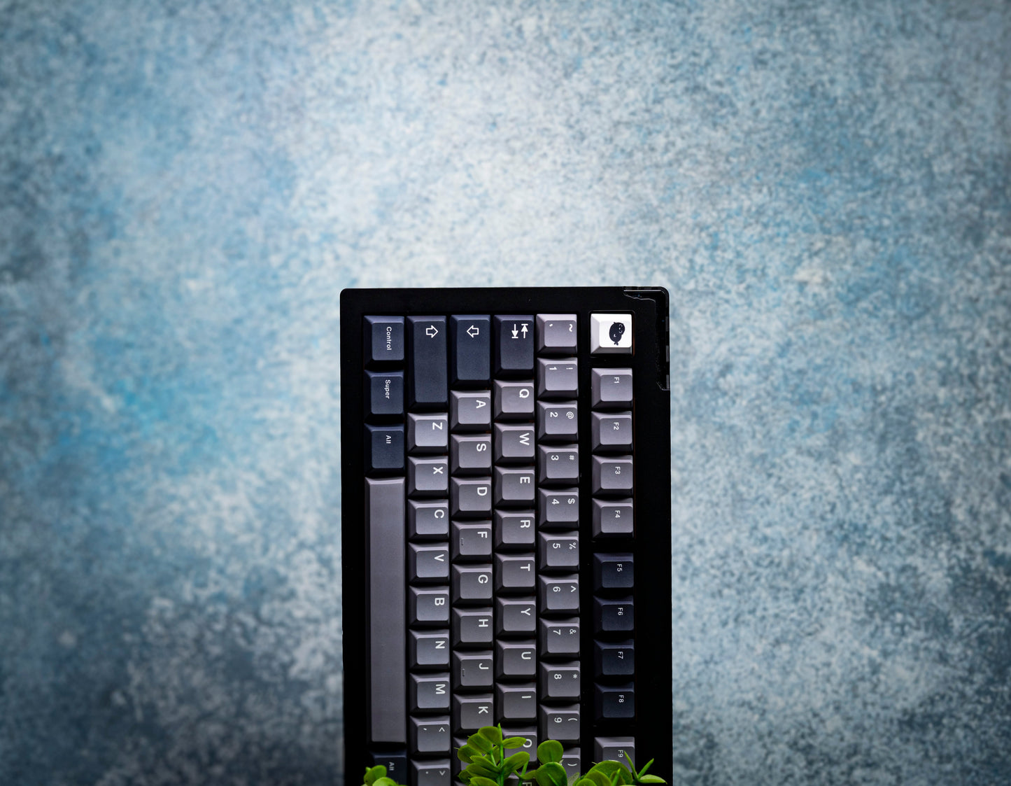Seal PBT Keycaps V4
