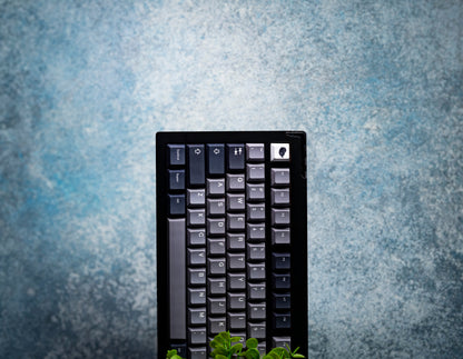 Seal PBT Keycaps V4