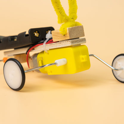 Bug Robot DIY Kit, Educational STEM Toy