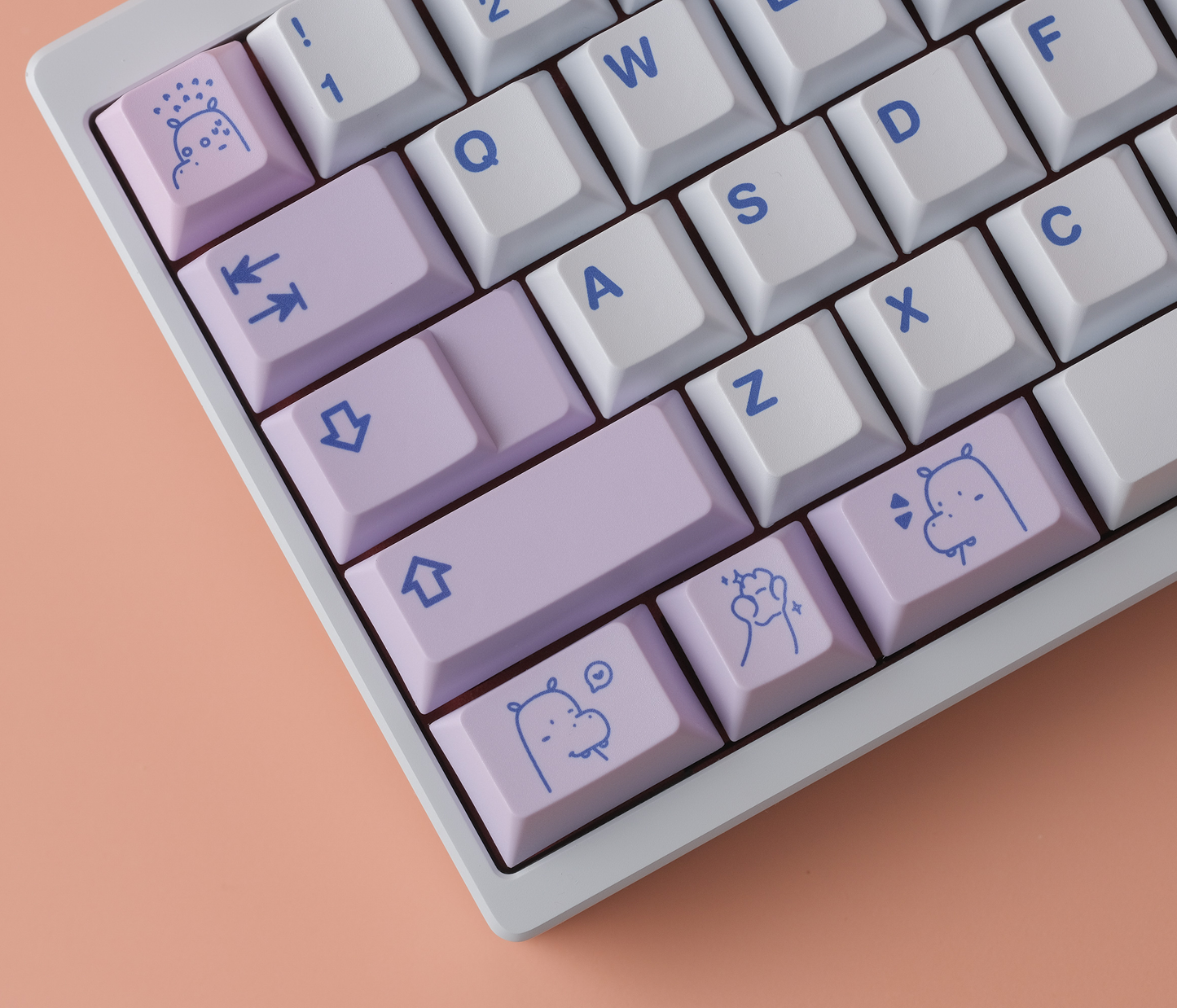 Hippo V2 PBT Keycaps