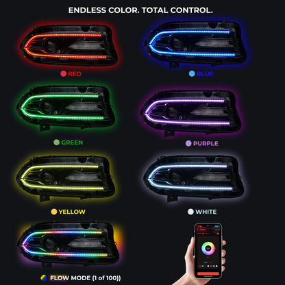 Dodge Charger Flow Series DRL Boards (2015-2024)