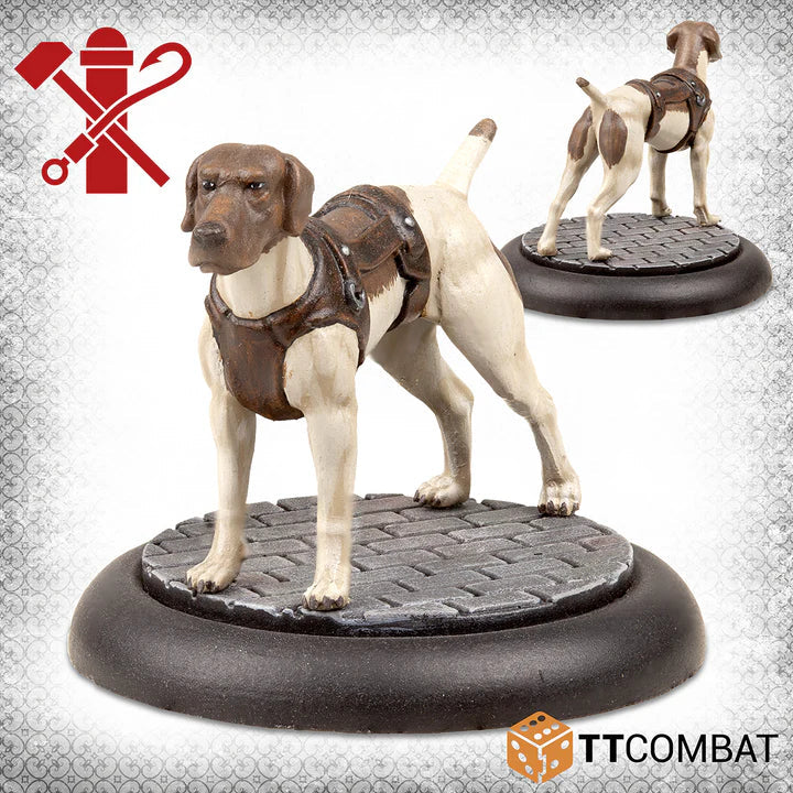 Carnevale - TTCGX-GLD-011 - Shiphands