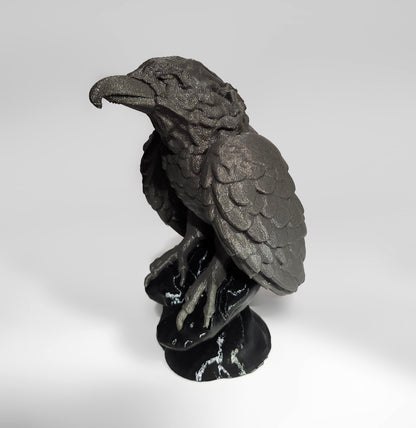 PETG-SS25: Recycled, Dark Gray