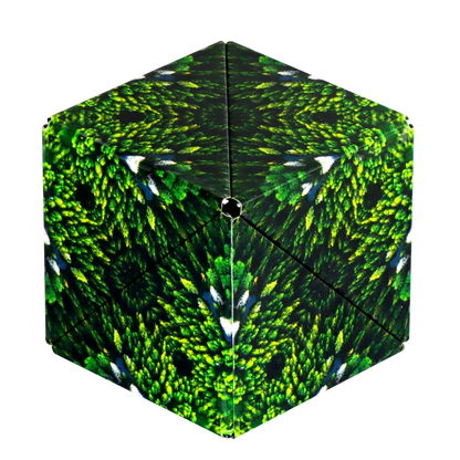 Shashibo: Forest